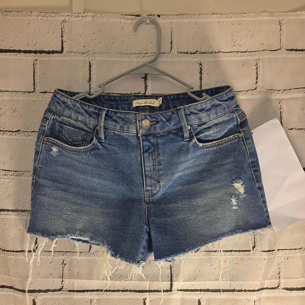 Free-people Women's Blue and Navy Shorts